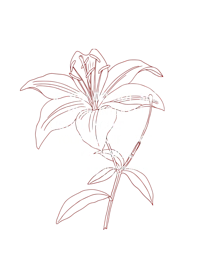 if you do not see your interest listed, include it in your inquiry for discussion