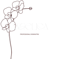 angelica adams logo